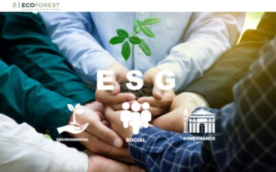 Los Beneficios de la Consultoría ESG: Impulsando Negocios Responsables y Sostenibles