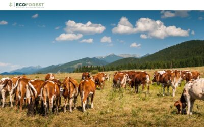 Carbono en el suelo y manejo regenerativo del ganado: Una solución para el cambio climático